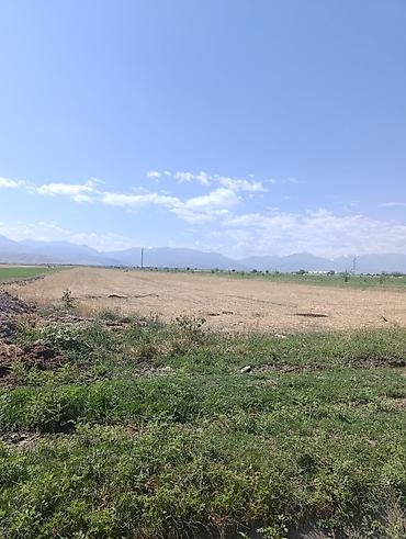 Продажа коттеджей и домов: Дом, 5 комнат, 68 кв.м В селе Петровка продается дом из 5-ти комнат at lalafo.kg — 21 Продажа коттеджей и домов: Дом, 5 комнат, 68 кв.м В селе Петровка продается дом из 5-ти комнат — 21