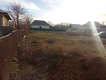 Продажа участков: 4 соток, Красная книга — 2