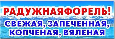 Рыбы: Живая и запеченная форель - Новая поставка живой форели: свежая — 15