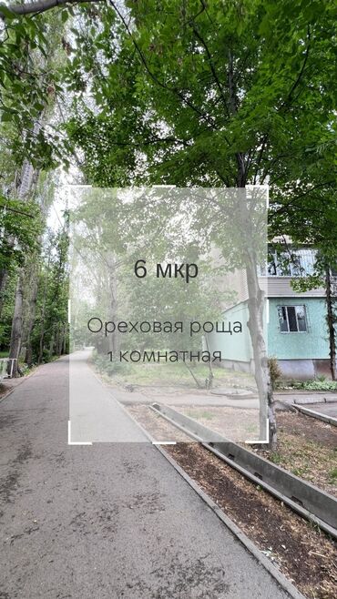 квартиры в биш: 1 комната, 35 м², 106 серия, 7 этаж, Старый ремонт