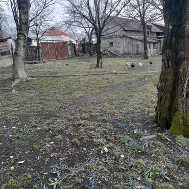 Torpaq sahələrinin satışı: 8 sot, Tikinti, Bələdiyyə — 14