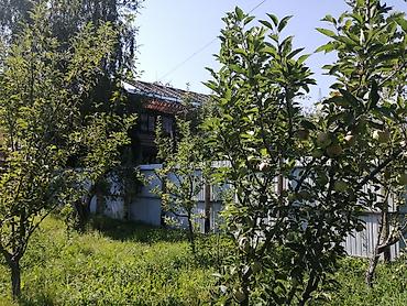 село чокморова: Продаю дачу в селе Таш мойнок — 6