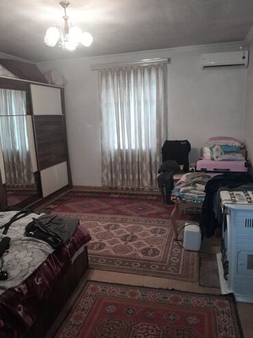 Çöl bitkiləri: Zabrat 2 stansiyasına yaxındir. sənəd kupça avtobus dayanacağına — 7