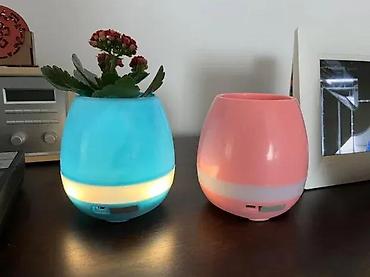 Vaze i saksije: Pametna muzička saksija – Bluetooth zvučnik, „touch piano“ i LED noćno — 2