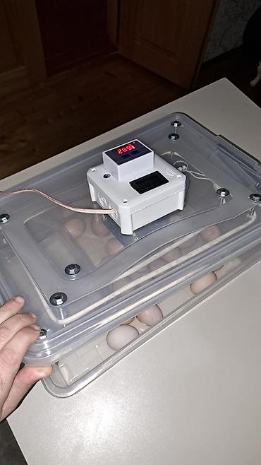 İnkubatorlar: Tam avtomat — 3