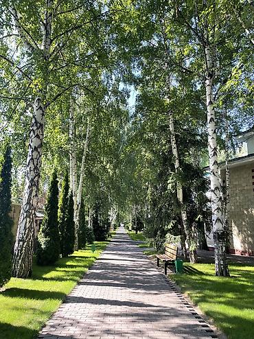 Продажа квартир: 1 комната, 19 м² — 12