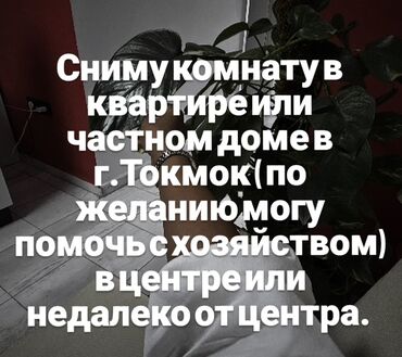 дом турбаза: Сниму комнату с мебелью в квартире или частном доме (могу по желанию