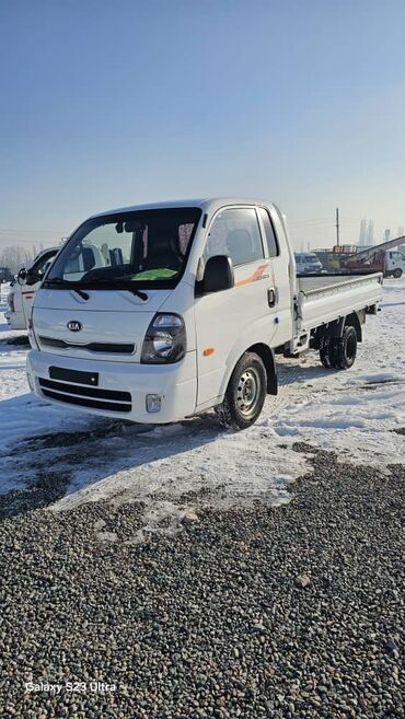 Легкий грузовой транспорт: Легкий грузовик, Kia, Стандарт, Новый