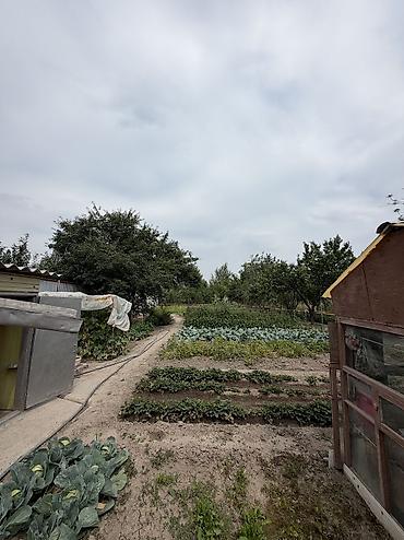 Продажа коттеджей и домов: 📍В Сокулуке продается дом расположенный на участке 15 соток 🏷️Об — 4