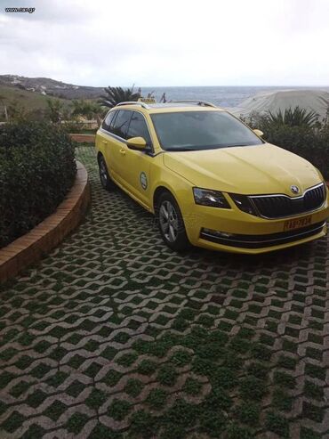 Skoda: Skoda Octavia: 1.5 l. | 2019 έ. 377471 km. Πολυμορφικό — 2