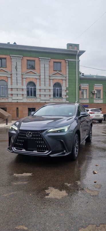 Lexus: Lexus NX: 2022 г., 2.5 л, Автомат, Бензин, Кроссовер