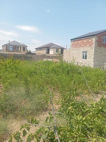 nardaranda torpaq: 13 sot, Tikinti, Mülkiyyətçi, Kupça (Çıxarış) — 7