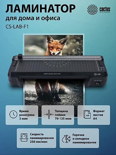 Ламинатор Cactus CS-LAB-F1 для дома и офиса - Поддерживаемый формат