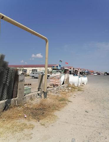 obiyek: 2 sot, Tikinti, Mülkiyyətçi, Kupça (Çıxarış) — 8