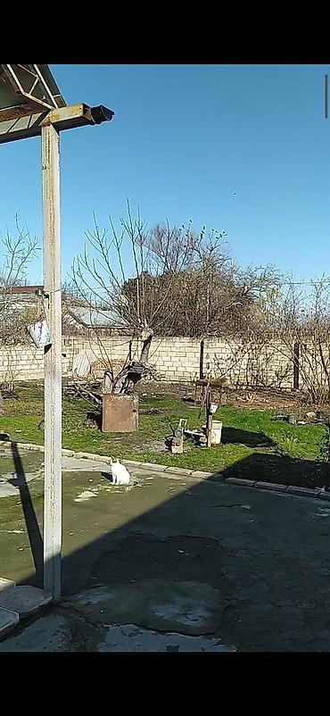 Torpaq sahələrinin satışı: 3 sot, Biznes üçün, Kupça (Çıxarış) — 14