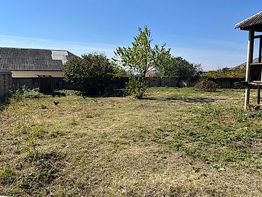 torpaq sirvan: 11 sot, Kupça (Çıxarış) — 7