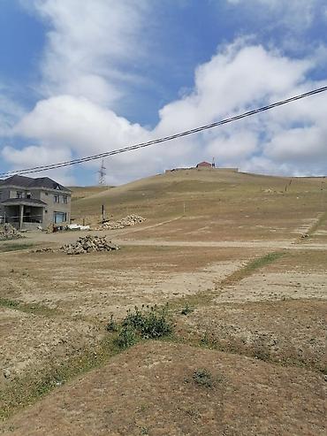 torpaq buzovna: 8 sot, Tikinti, Mülkiyyətçi, Kupça (Çıxarış) — 1