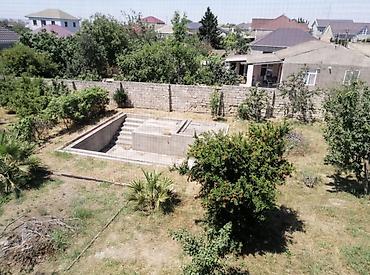 Torpaq sahələrinin satışı: 8 sot, Tikinti, Bələdiyyə — 5
