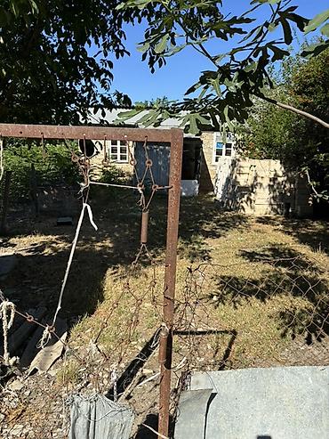 3 otaqlı kiraye evler: Torpaq sahəsi və həyət evi Təcili satılır Masallı rayon T.Alvadı — 2