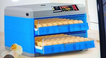 Товары и оборудование для с/х животных: Инкубаторы китайский сатылат жаңы полный автомат свет очсо 12 вольт — 8