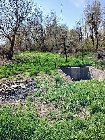 Продажа коттеджей и домов: Продается двухэтажный дом в селе Алексеевка в Жайылском районе. Из at lalafo.kg — 8 Продажа коттеджей и домов: Продается двухэтажный дом в селе Алексеевка в Жайылском районе. Из — 8