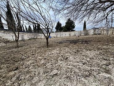 alatava ev: 10 sot, Tikinti, Mülkiyyətçi, Kupça (Çıxarış) — 3