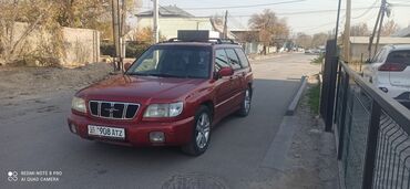 продаю субару форестер: Subaru Forester: 2001 г., 2 л, Автомат, Газ, Внедорожник