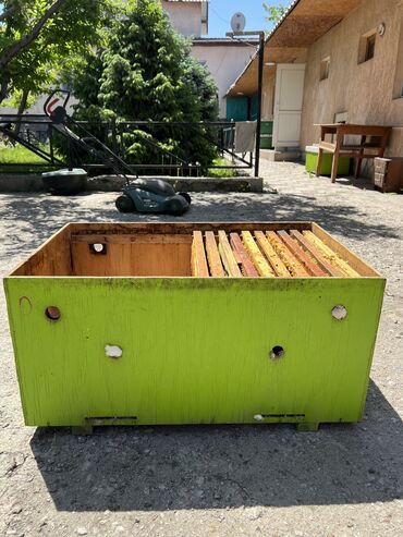 купить деревянные ящики бу: Ящики лежак +10 рамок(дадан)
Ящик 18 рамковый 
Состояние хорошее