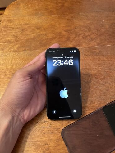 Apple iPhone: IPhone 13, Blue Titanium