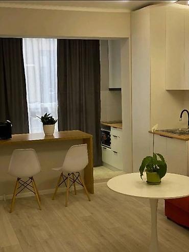 Продажа квартир: 1 комната, 27 м², Элитка, 4 этаж, Евроремонт — 5