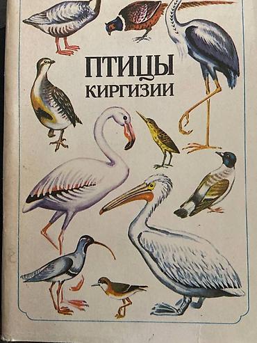 янтар: Продаю книги разные 1)Л. Н. Толстой. Сборник собраний сочинений 12 — 9