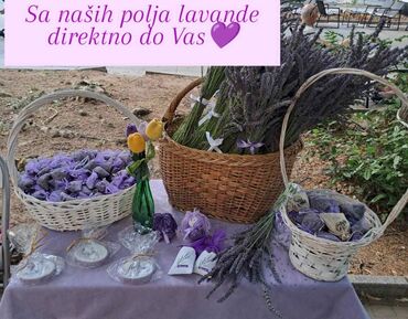 jastuci za ležaljke ikea: Sušena lavanda u vrećicama PG Apicentar Niš se bavi plantažnim