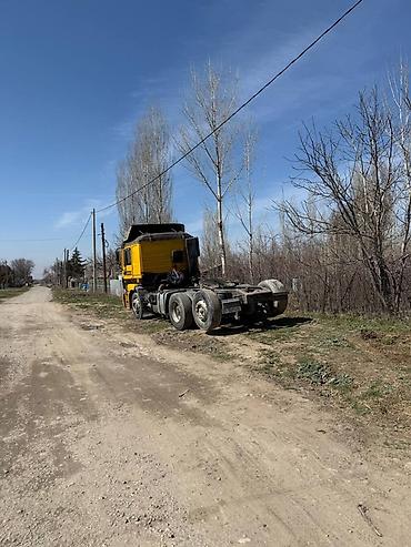 Тягачи: Тягач, MAN, Без прицепа — 4