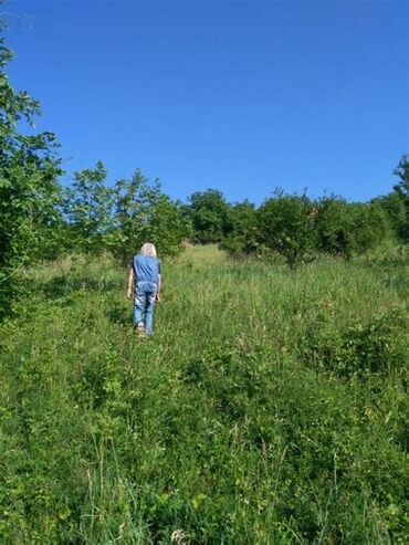 stanovi na izdavanje lazarevac: 5 ares, Građevinarstvo, Vlasnik