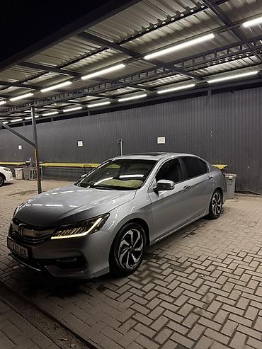 бампер на лупарик: Honda Accord: 2017 г., 2.4 л, Автомат, Бензин, Седан — 2