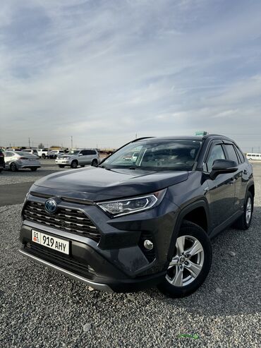 Toyota: Toyota RAV4: 2019 г., 2.5 л, Автомат, Гибрид, Кроссовер