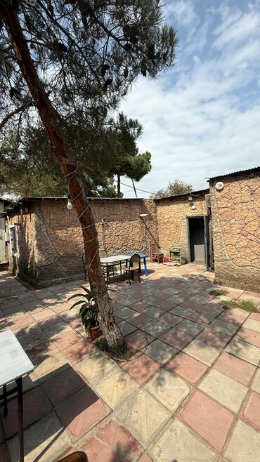 Restoran, kafelər: Sumqayit seheri 8 ci mikrayon astanovkaynin duz yani tam yola yaxin — 16