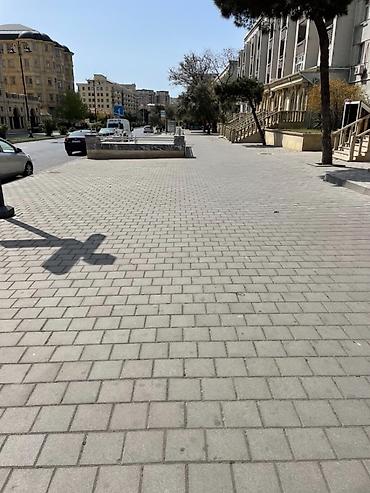 solon maları: Öz şesxsi zavod mallarimizdir artiq söze ehtiyac yoxdur mehsular — 10