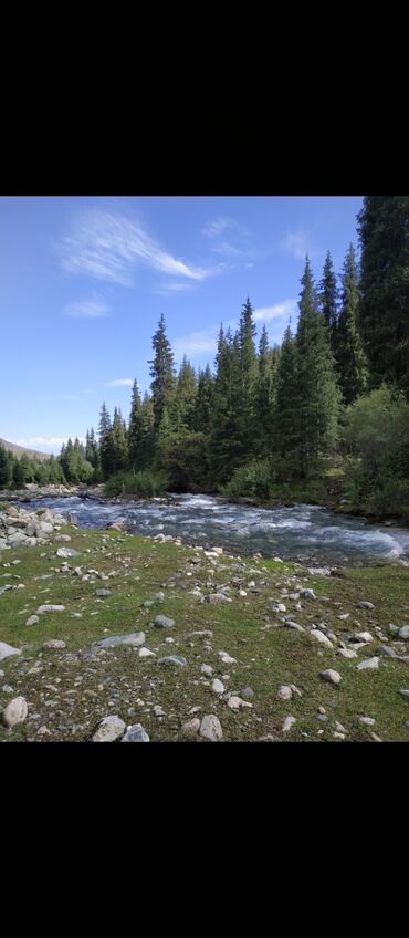 Продажа участков: 30 соток, Для бизнеса, Тех паспорт — 3