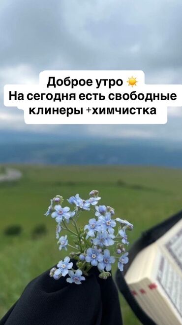 пылесосы для авто: Эмеректерди химиялык тазалоо