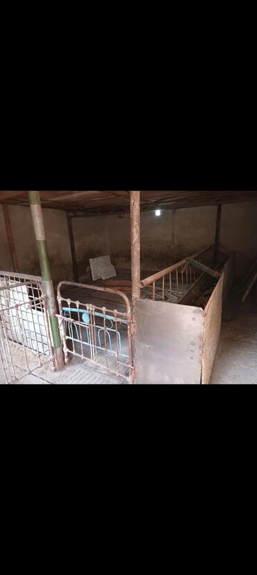 Продажа домов: Дом, 143 м², 7 комнат, Собственник, Косметический ремонт — 12