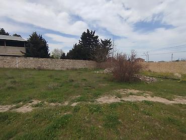 4 sot, Tikinti, Maklerlər narahat etməsin, Kupça (Çıxarış)