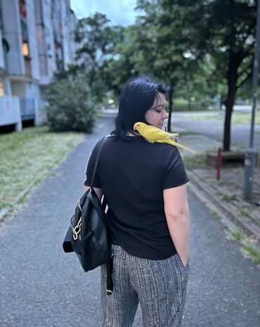 Oprema za kućne ljubimce: Povodci za papagaje – sigurnost, sloboda i poverenje u jednom! — 6