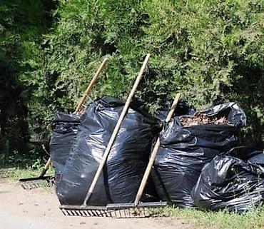 тв шкаф: Стрижка изгороди профессионально
Стрижка дикой травы и газона — 9