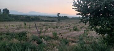 Anbar və emalatxanalar: Ünvan: Qusar şəhəri Ləyər kəndi (ləzgi ləyər) 1hk 68 sot bağ yeri — 23