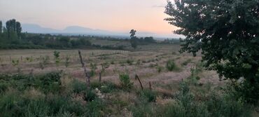 Torpaq sahələrinin satışı: Kənd təsərrüfatı, Mülkiyyətçi — 38