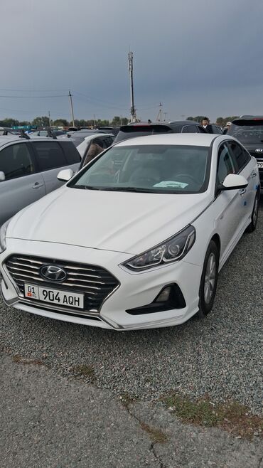 Hyundai: Hyundai Sonata: 2017 г., 2 л, Автомат, Газ, Седан