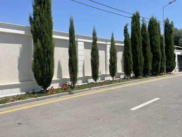 Ağlay: Termo aqlay topdan satiş qiymətlər 1.80 azn dən başlayan qiymətlər — 23