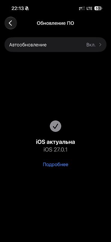 iphone 27: IPhone 15 Pro, Б/у, 256 ГБ, Черный, Чехол, Кабель, 81 % — 5