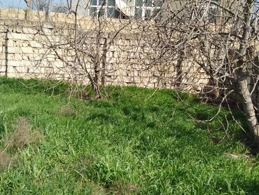 20 sahə: 5 sot, Tikinti, Mülkiyyətçi, Kupça (Çıxarış)